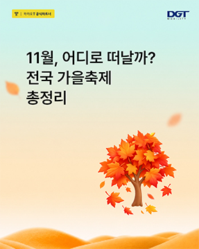 [[11월 가을 축제, 어디로 떠날까? 축제 일정 알아보기]