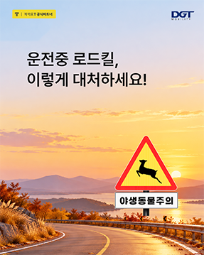 [도로 위 로드킬 대처 방법 안내]